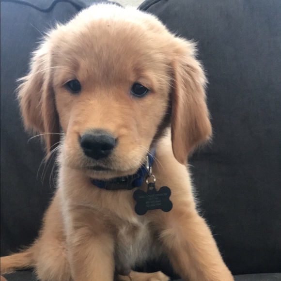 Meet your Posher, Erica - Picture 1 of 1